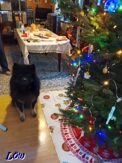 23.12.2025 - Weihnachtsvorbereitung